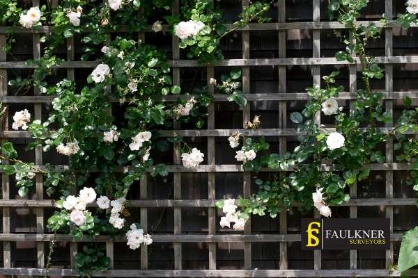 Can I put trellis on my Neighbours garage wall? 2 Do you want to adapt your neighbours garage door and add a trellis Witney? Talk to Faulkner Surveyor Witney